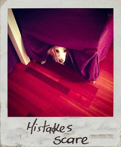 The Power of Mistakes - Hermann Gourmet Cosmetics